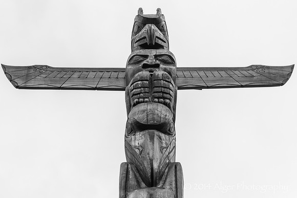 DSC_8864